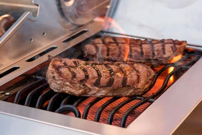 Газовый гриль Nexgrill Deluxe GRIZZLY 5B